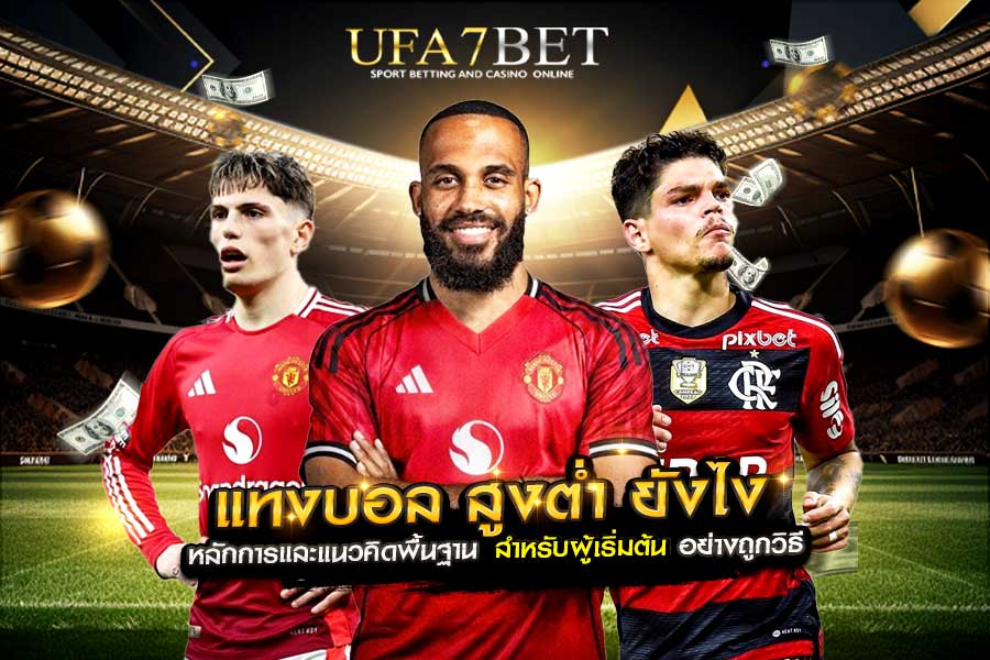 แทงบอล สูงต่ำ